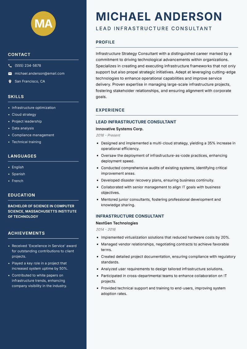 Infrastructure Strategy Consultant Resume Preview Example