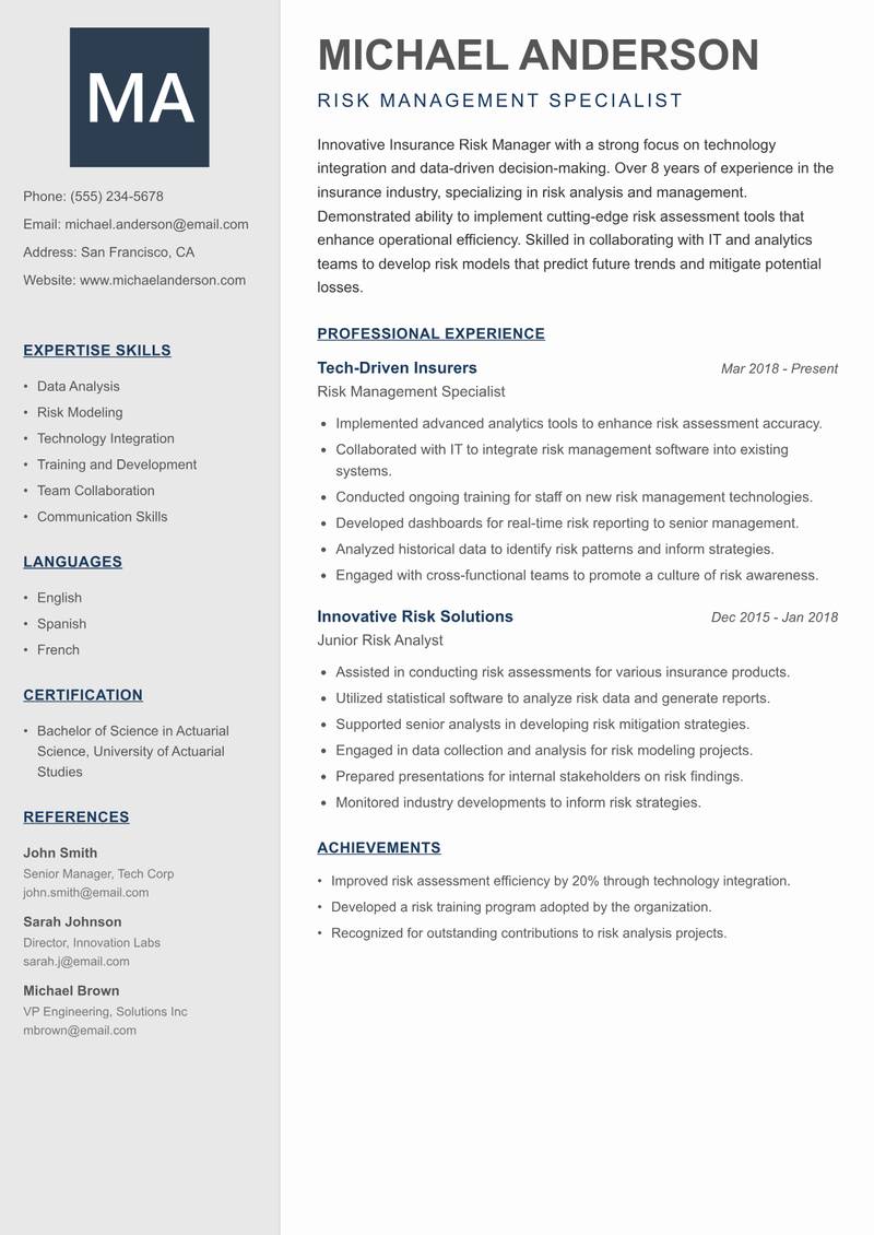 Insurance Risk Manager Resume Preview Example