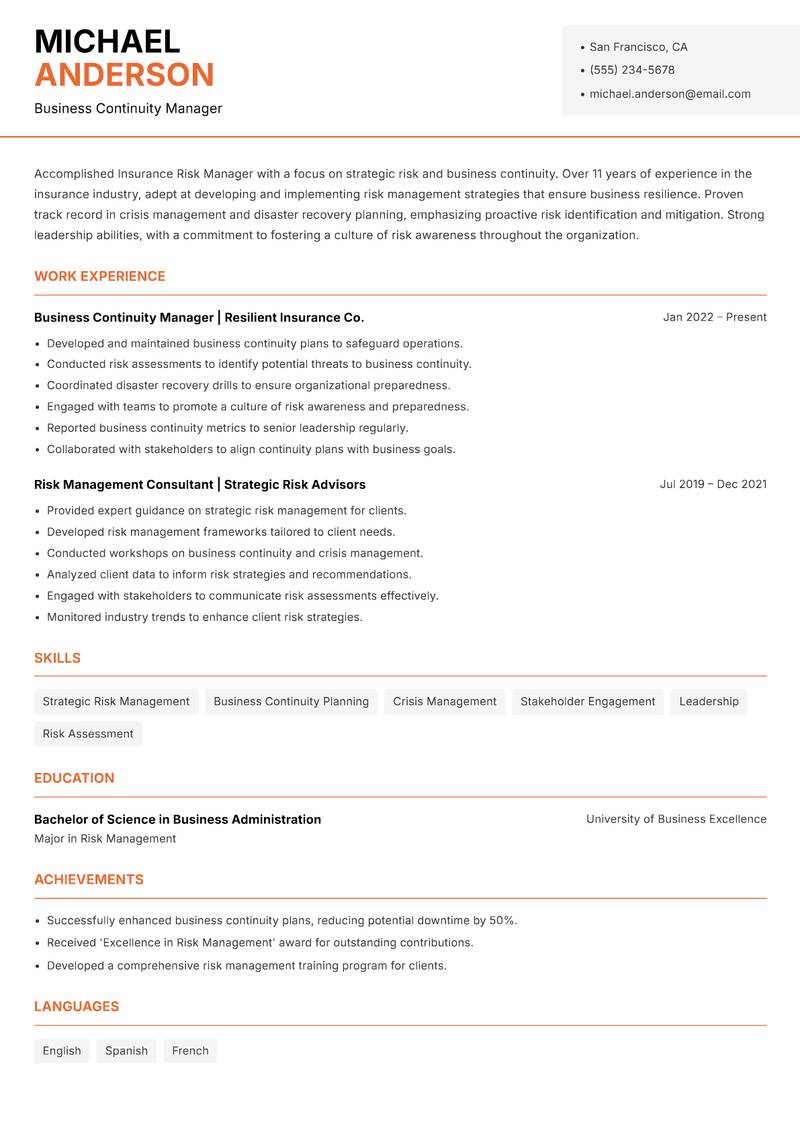 Insurance Risk Manager Resume Template