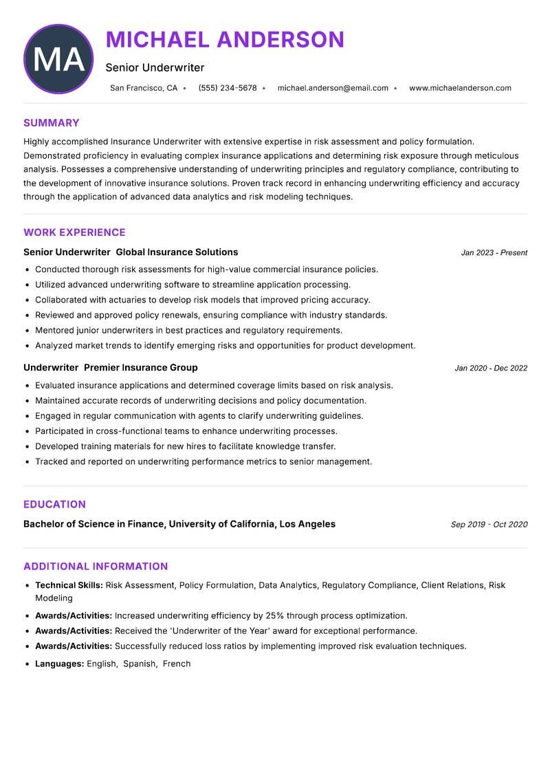 Insurance Underwriter Resume Preview Example
