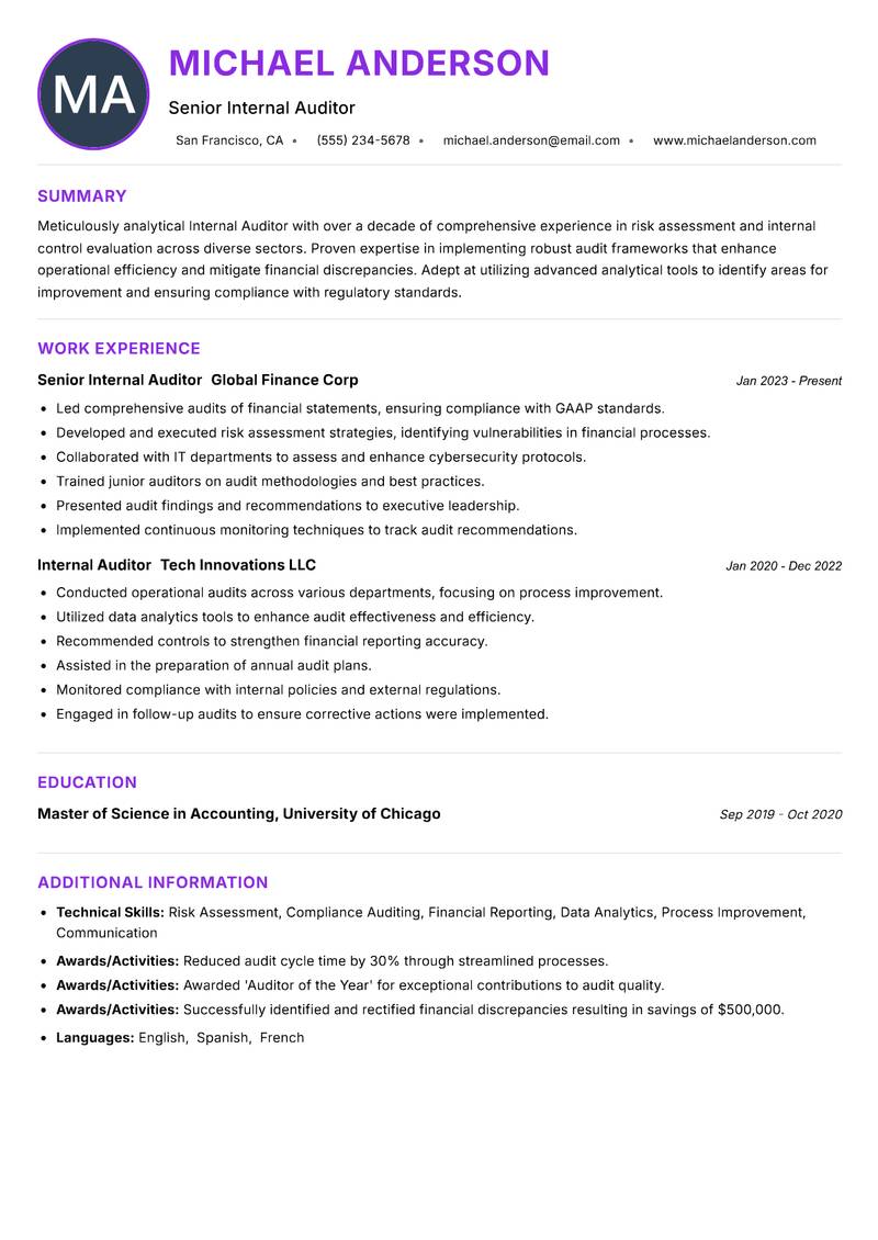 Internal Auditor Resume Preview Example