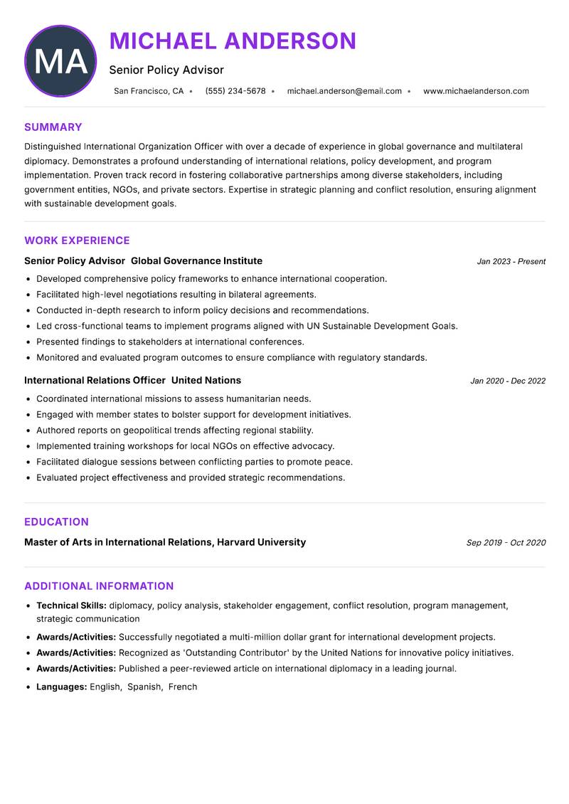 International Organization Officer Resume Preview Example