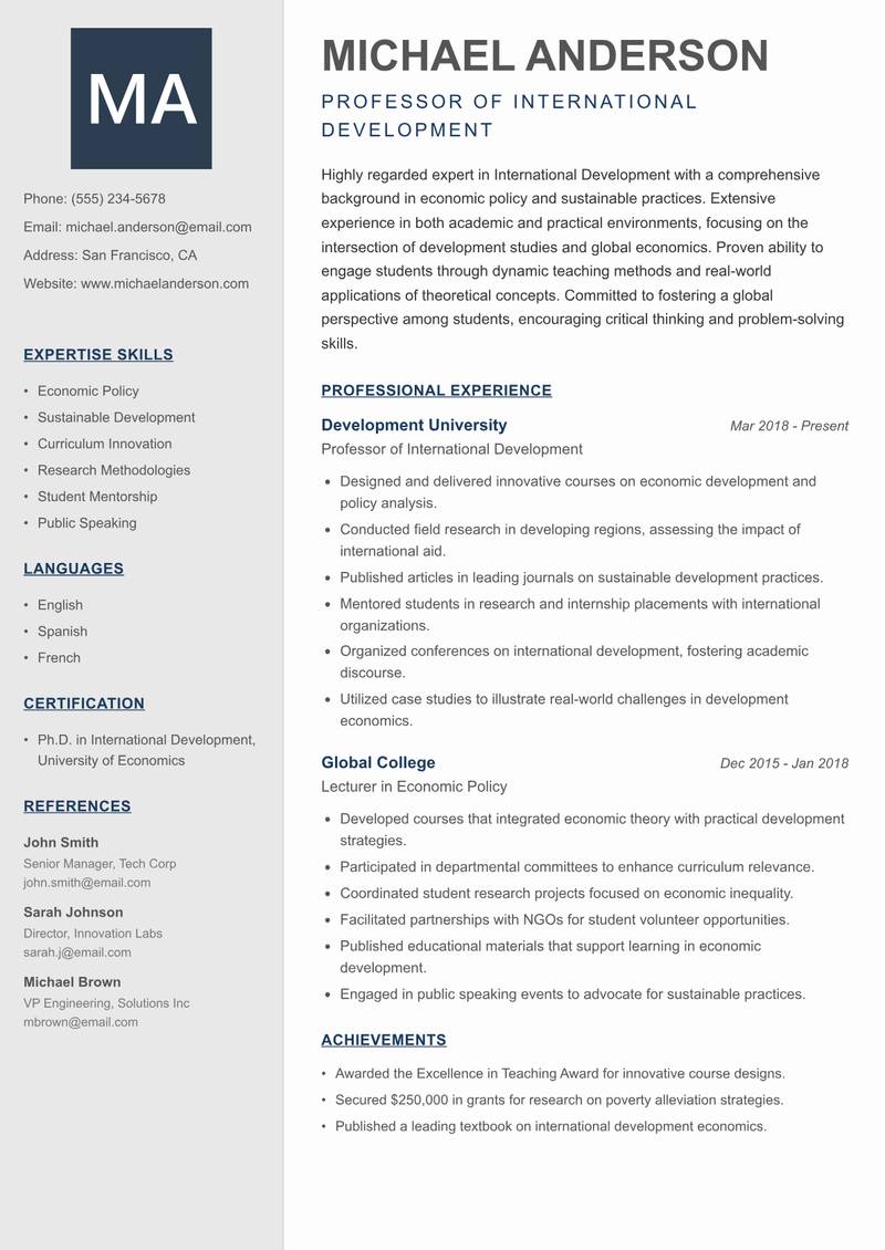 International Studies Professor Resume Preview Example