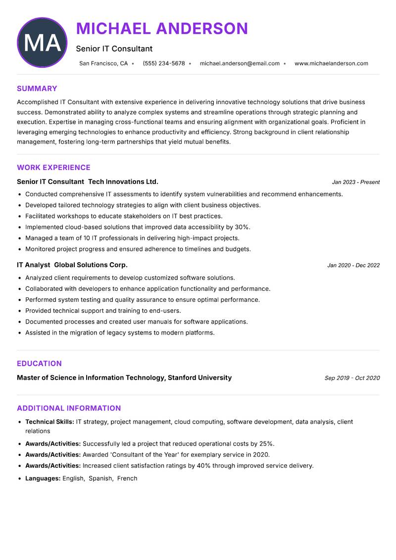 IT Consultant Resume Preview Example