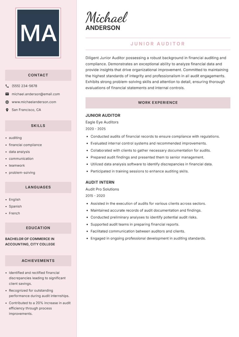 Junior Auditor Resume Preview Example