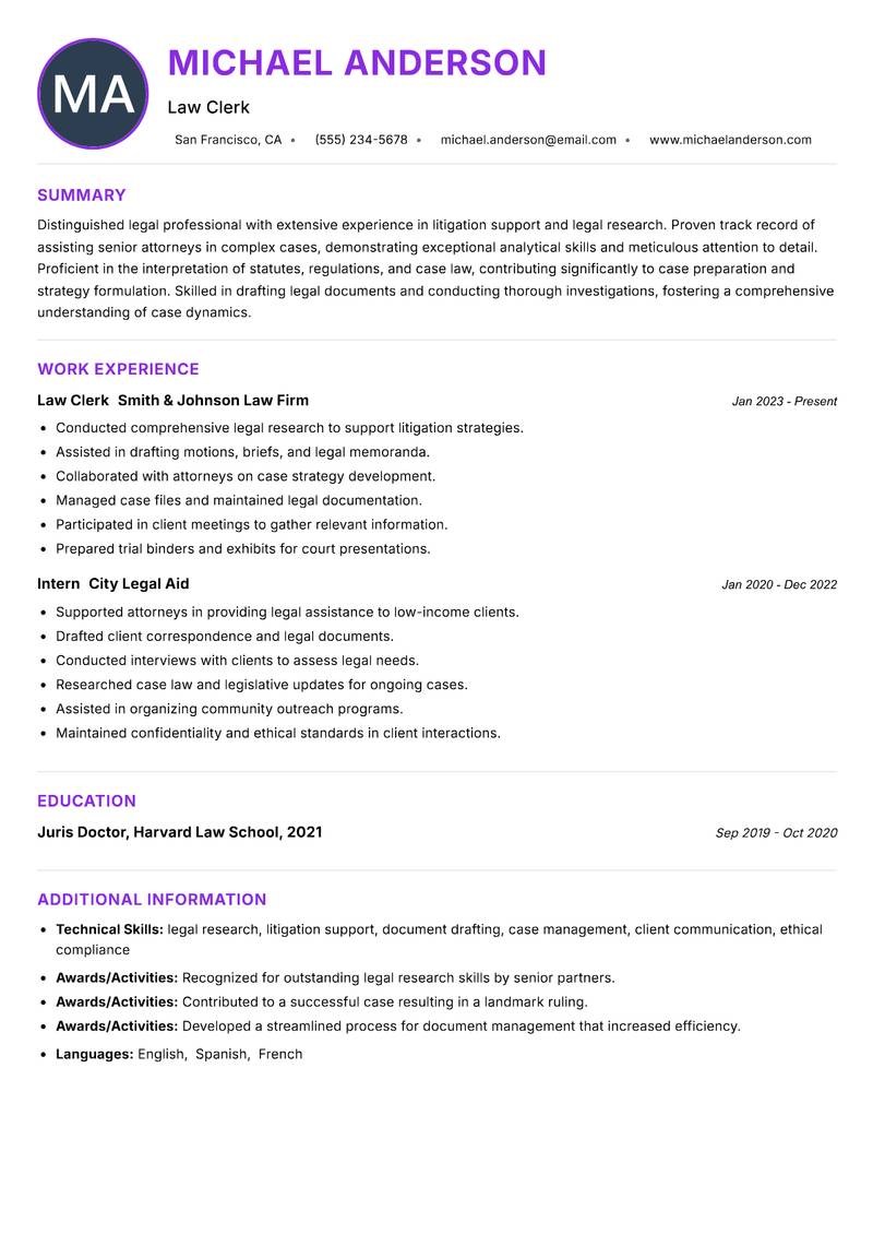 Law Clerk Resume Preview Example