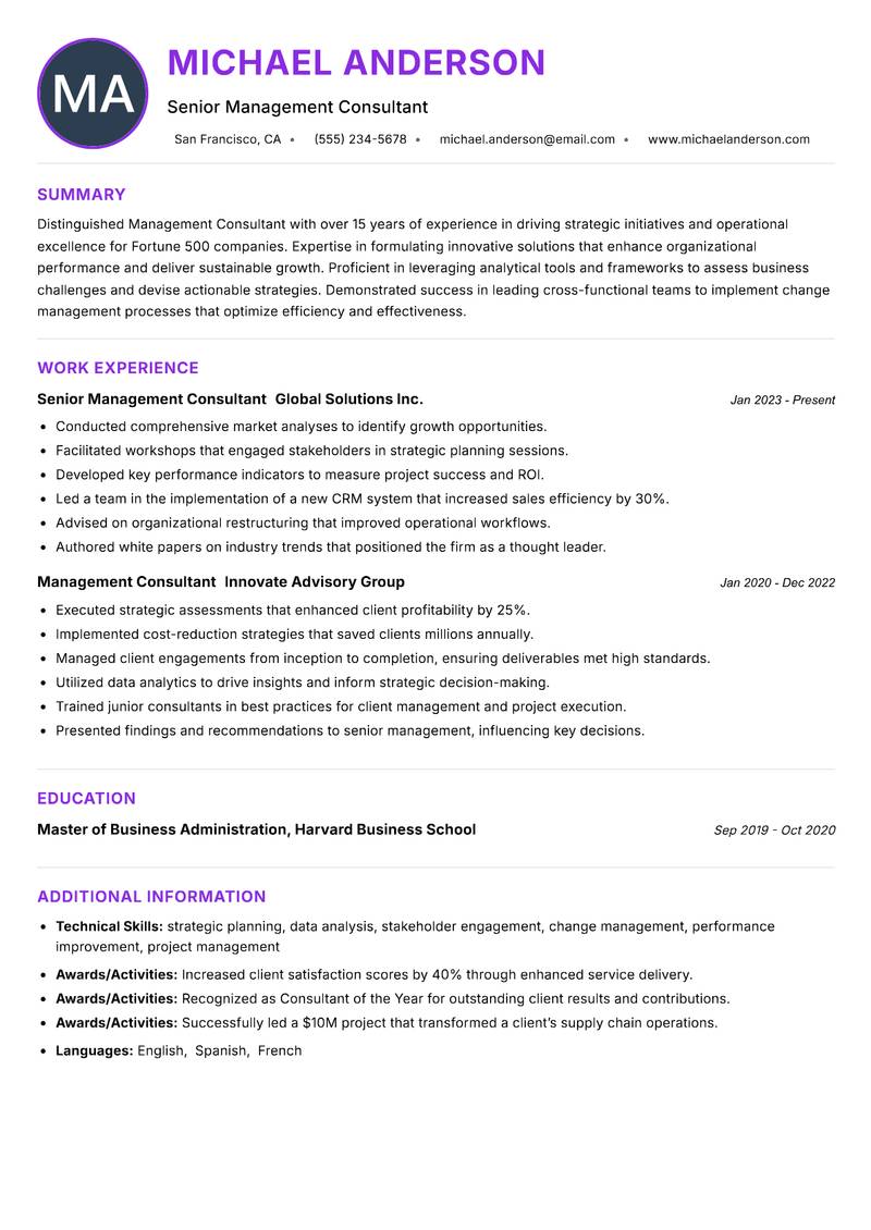 Management Consultant Resume Preview Example