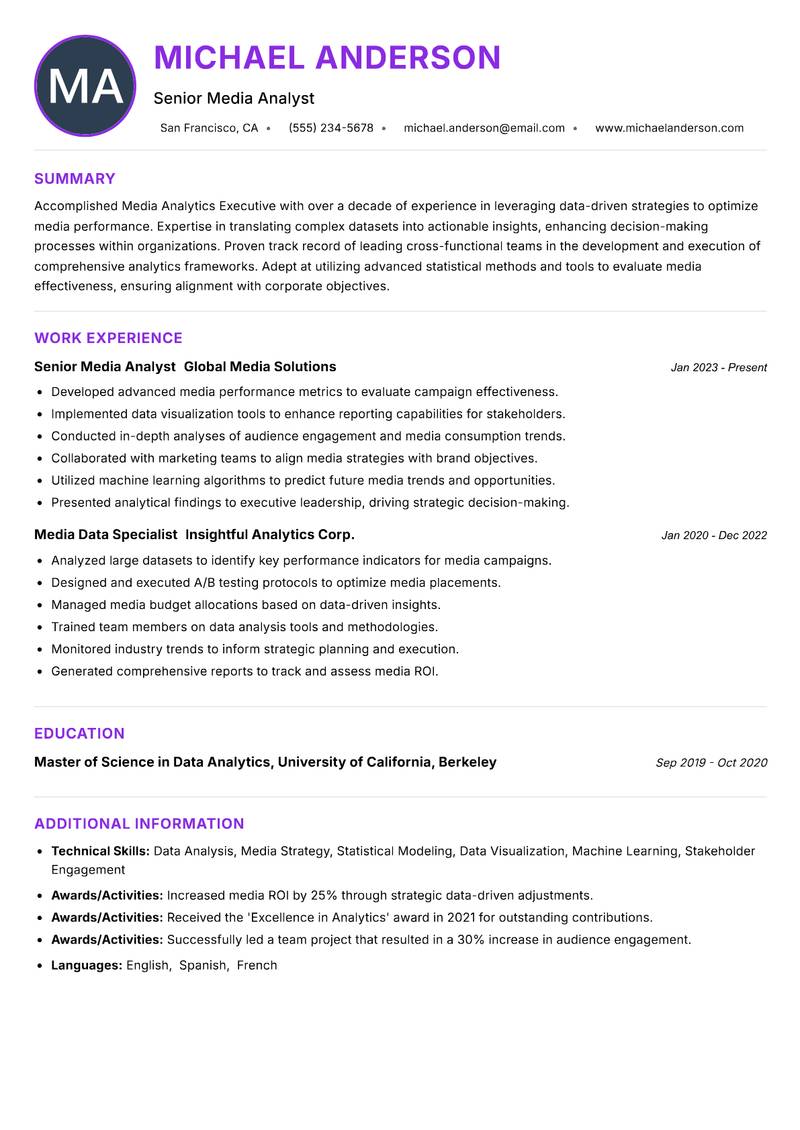 Media Analytics Executive Resume Preview Example