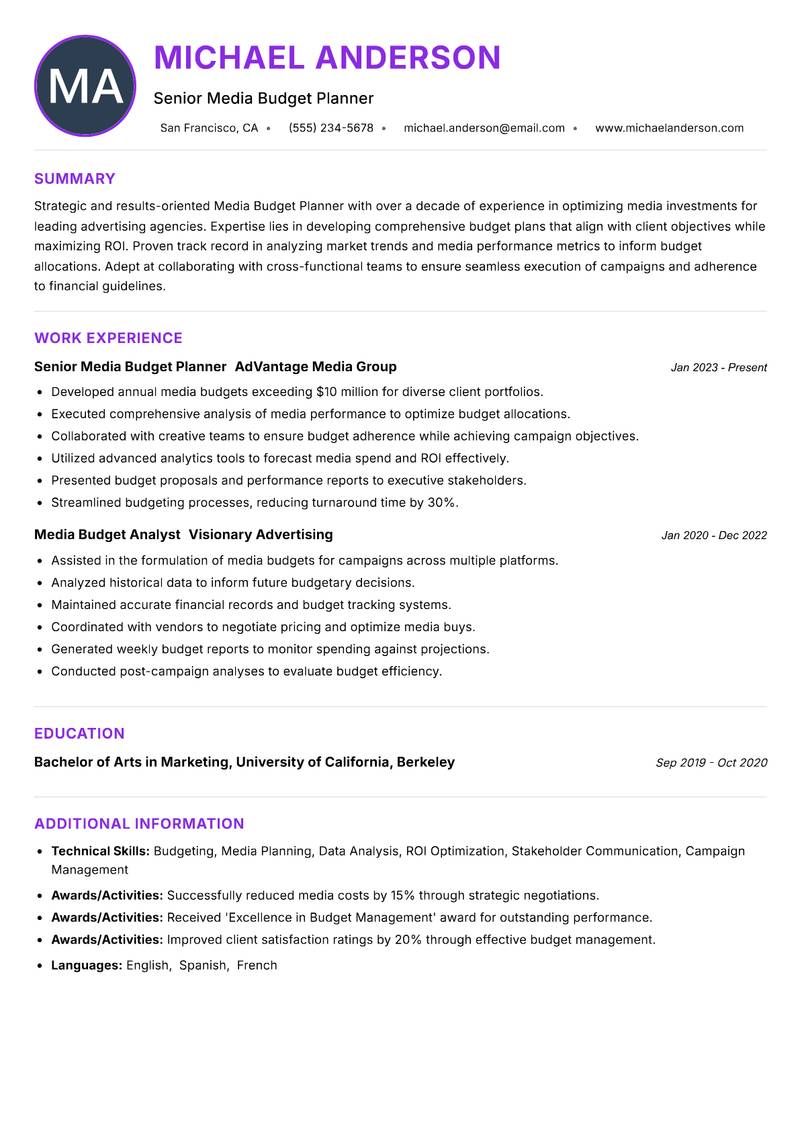 Media Budget Planner Resume Preview Example