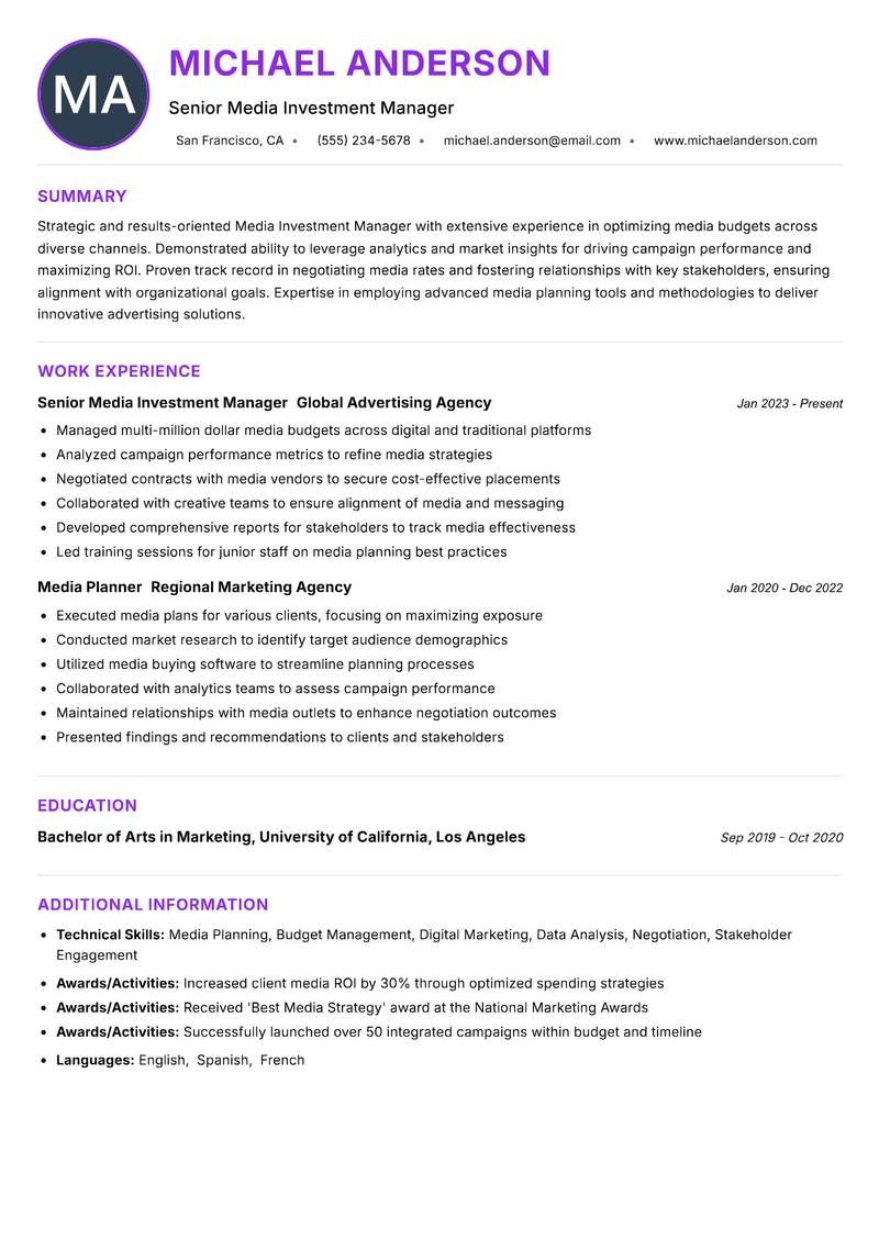 Media Investment Manager Resume Preview Example
