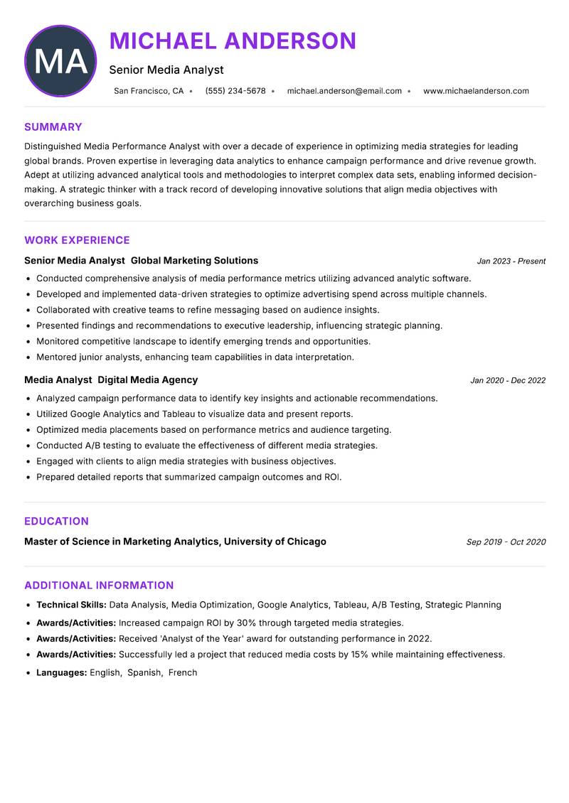 Media Performance Analyst Resume Preview Example