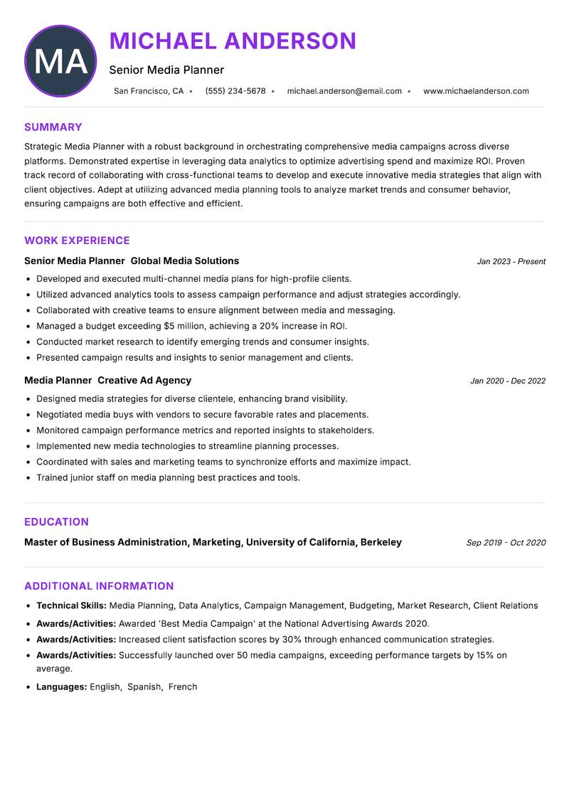 Media Planner Resume Preview Example