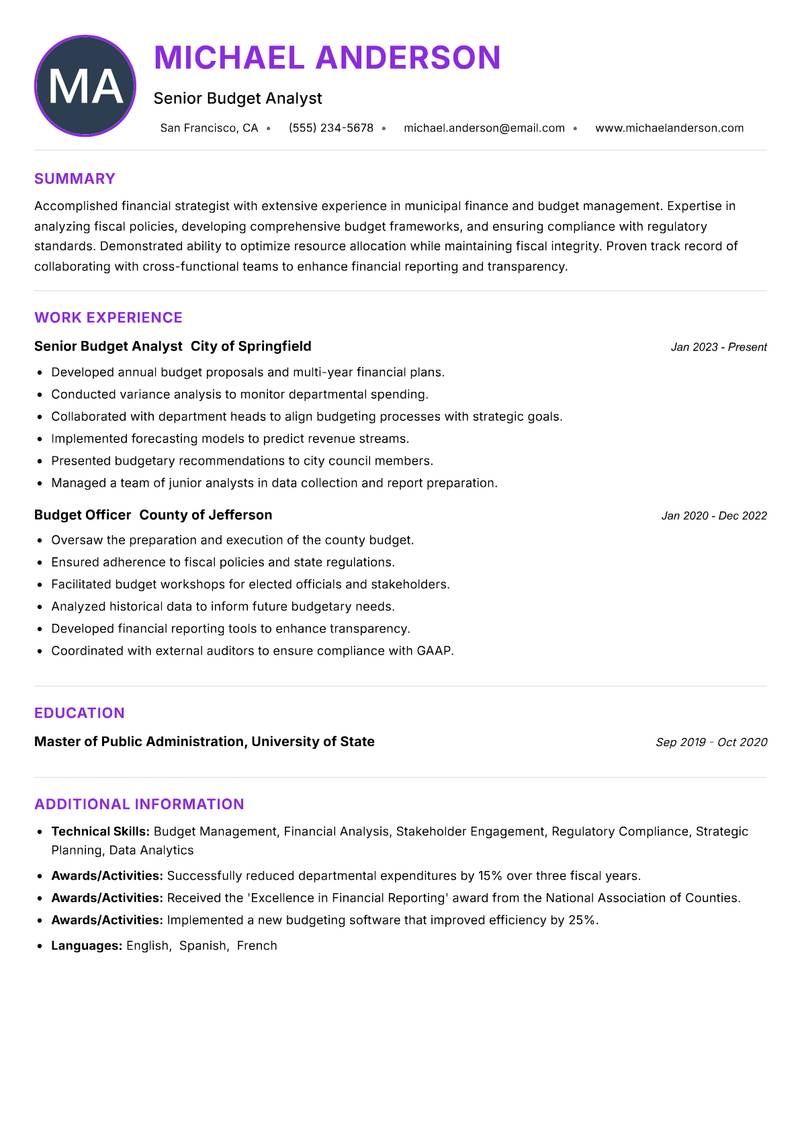 Municipal Budget Officer Resume Preview Example