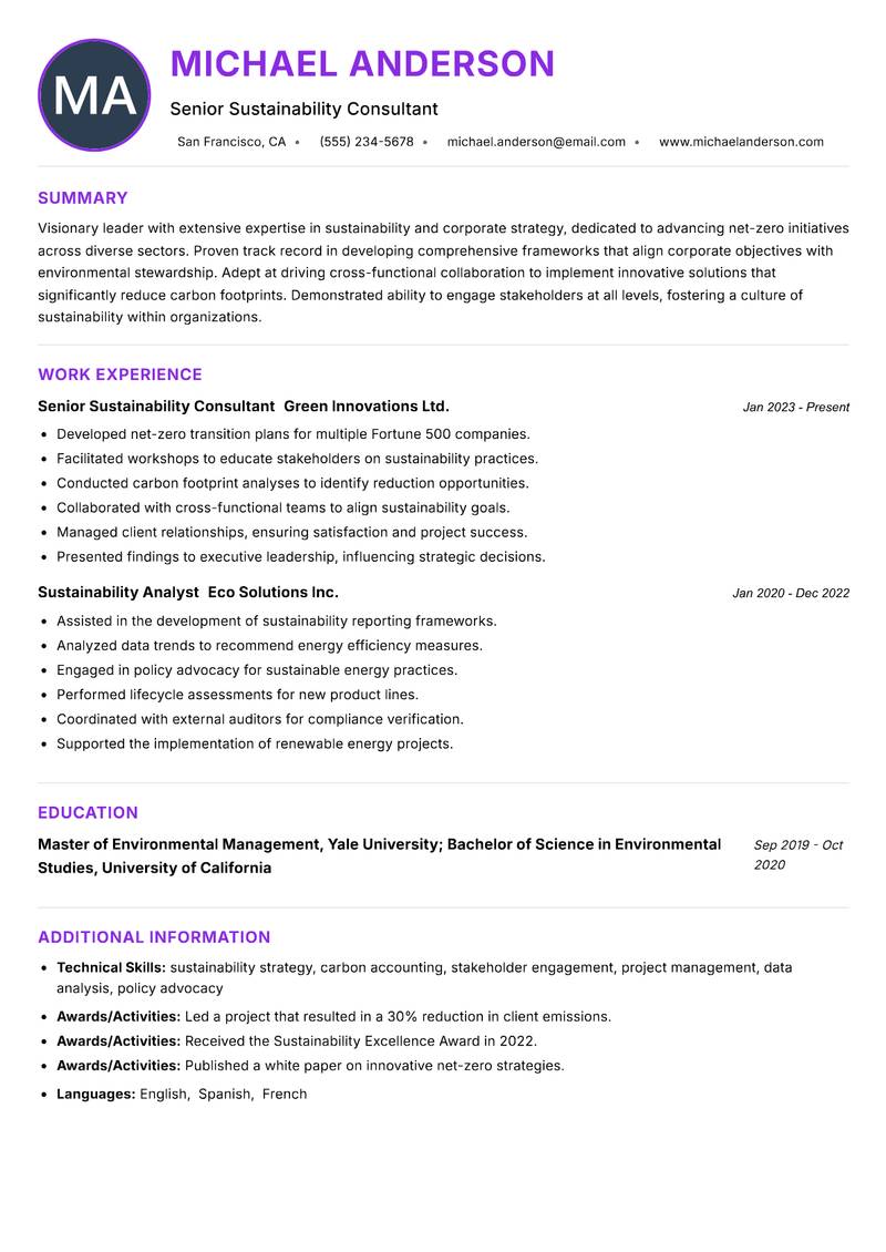 Net Zero Strategy Manager Resume Preview Example