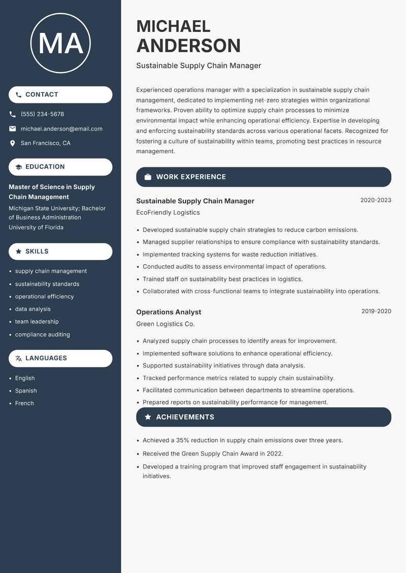 Net Zero Strategy Manager Resume Preview Example