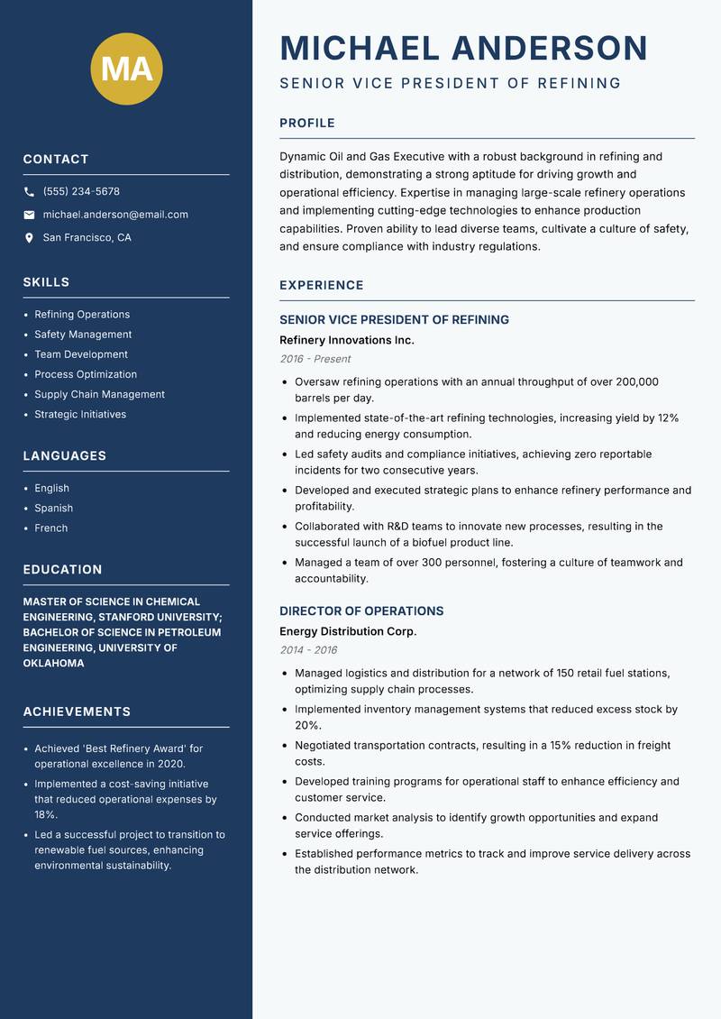Oil and Gas Executive Resume Preview Example