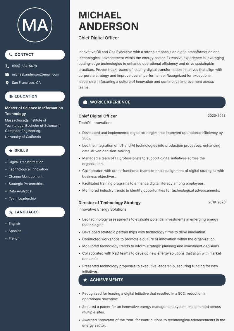 Oil and Gas Executive Resume Preview Example