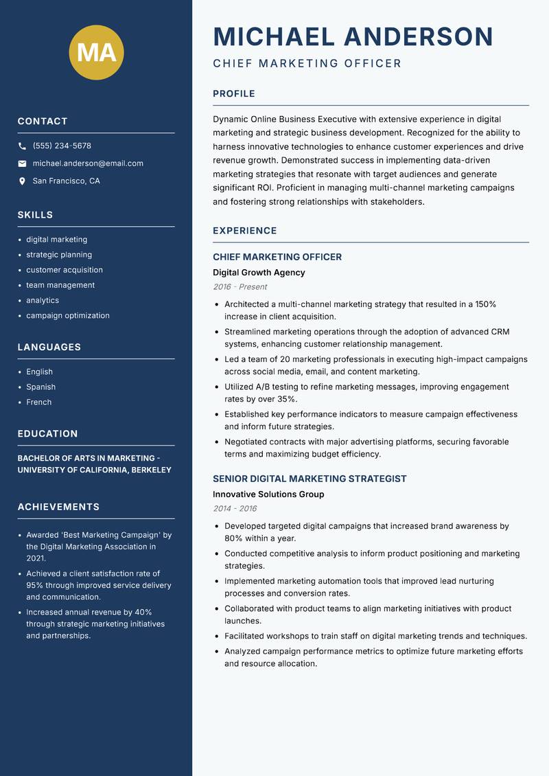 Online Business Executive Resume Preview Example