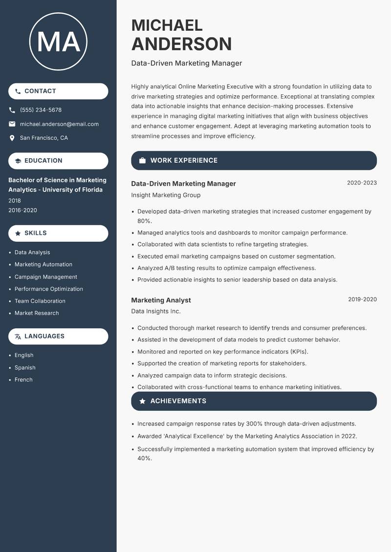 Online Marketing Executive Resume Preview Example