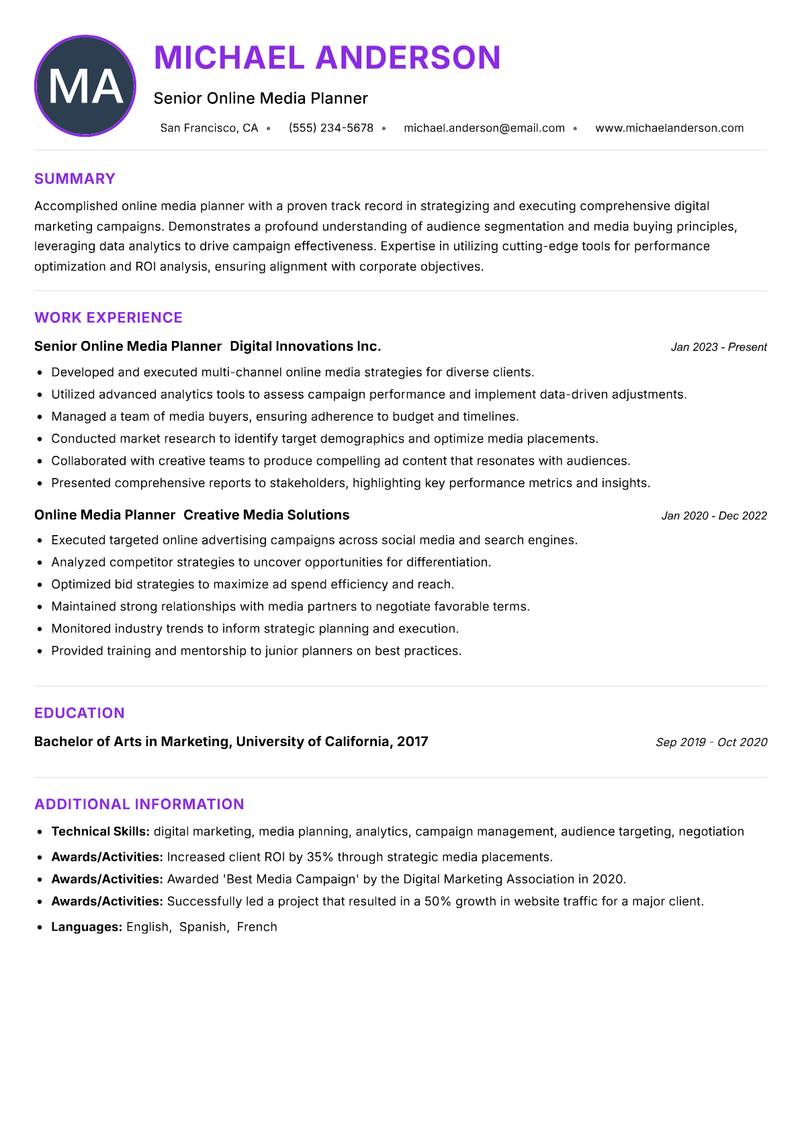 Online Media Planner Resume Preview Example