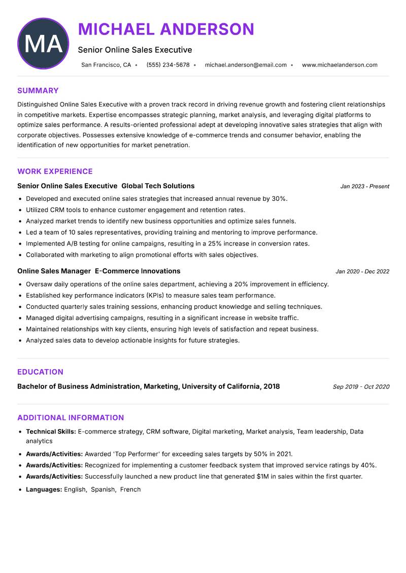 Online Sales Executive Resume Preview Example