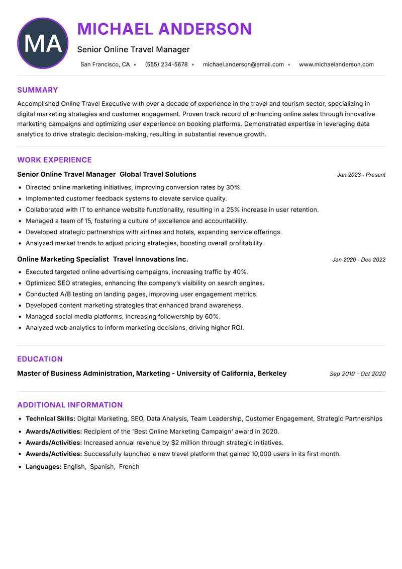 Online Travel Executive Resume Preview Example