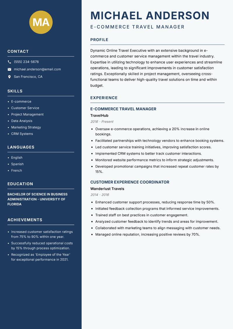 Online Travel Executive Resume Preview Example