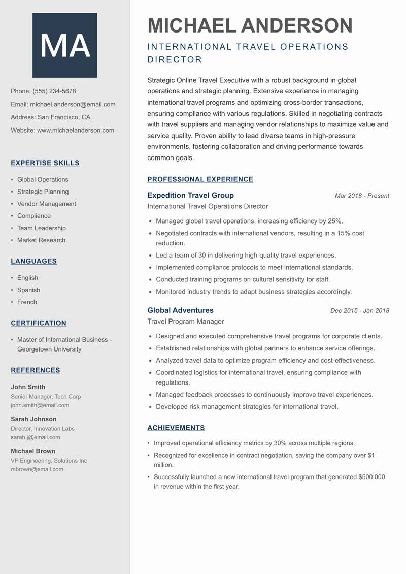 Online Travel Executive Resume Preview Example