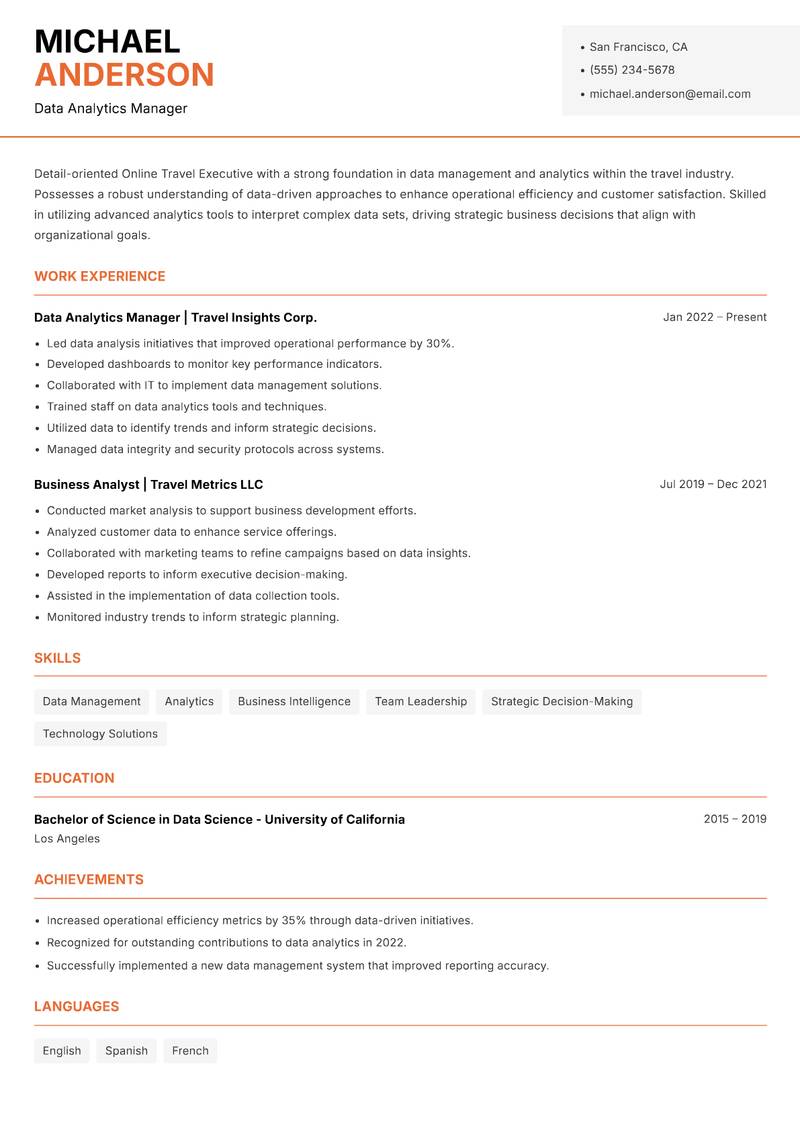 Online Travel Executive Resume Template