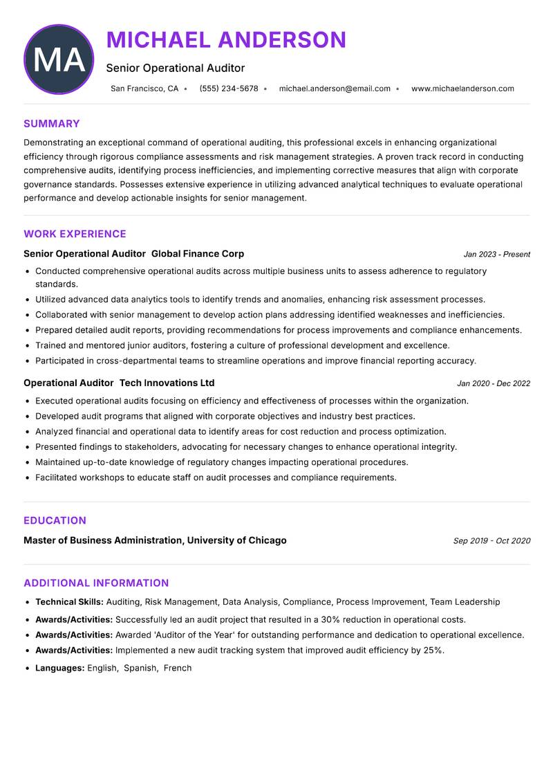 Operational Auditor Resume Preview Example