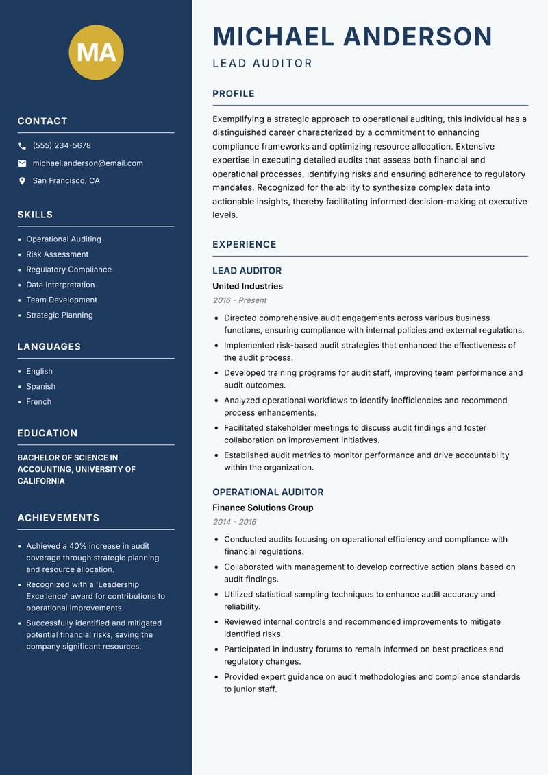 Operational Auditor Resume Preview Example