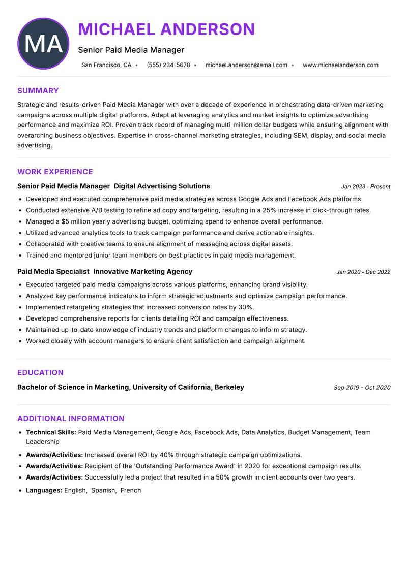 Paid Media Manager Resume Preview Example