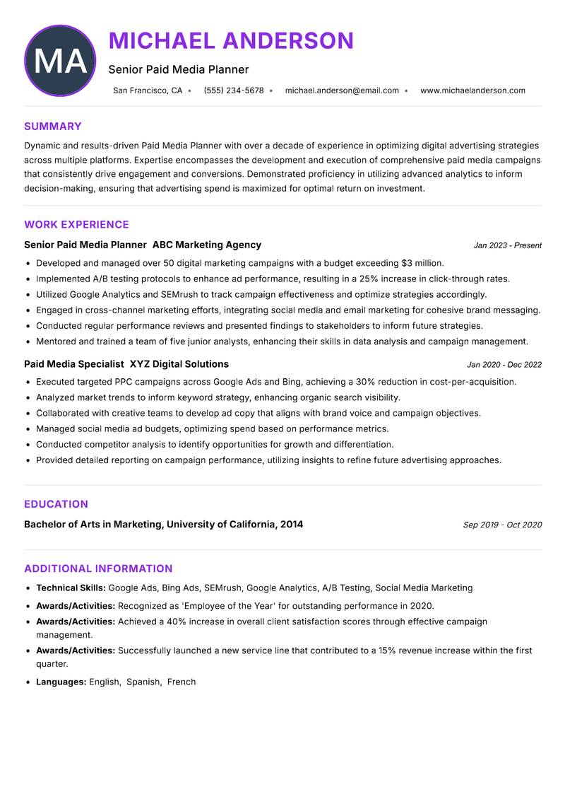 Paid Media Planner Resume Preview Example