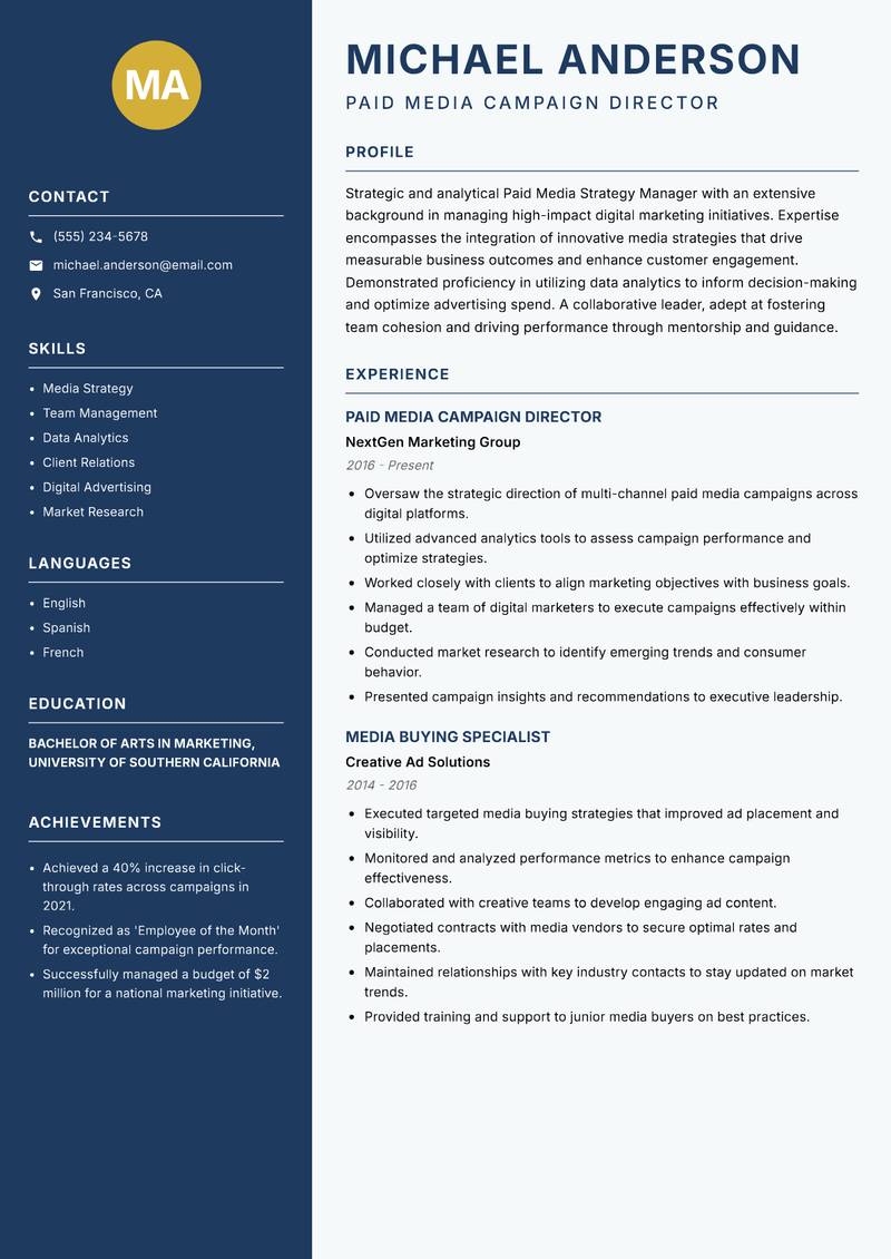 Paid Media Strategy Manager Resume Preview Example
