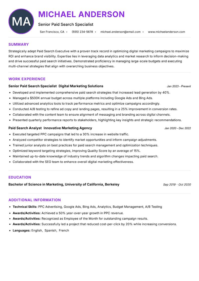 Paid Search Executive Resume Preview Example