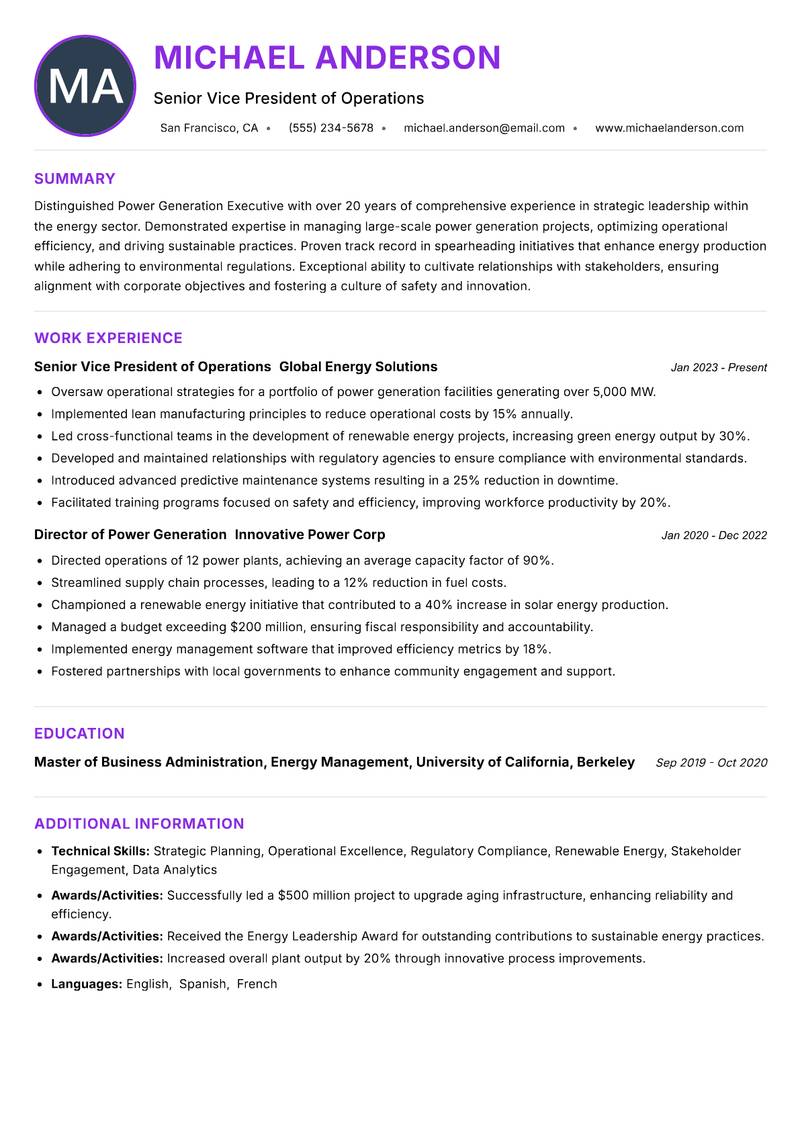 Power Generation Executive Resume Preview Example