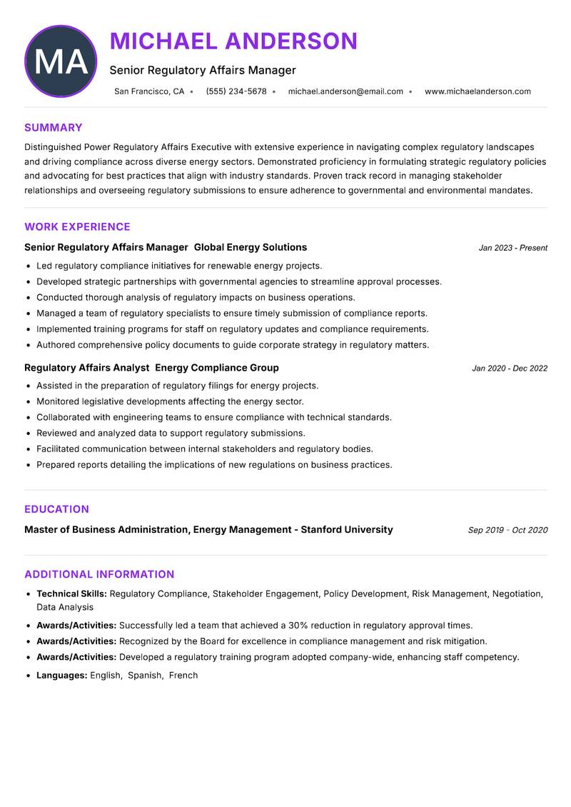 Power Regulatory Affairs Executive Resume Preview Example