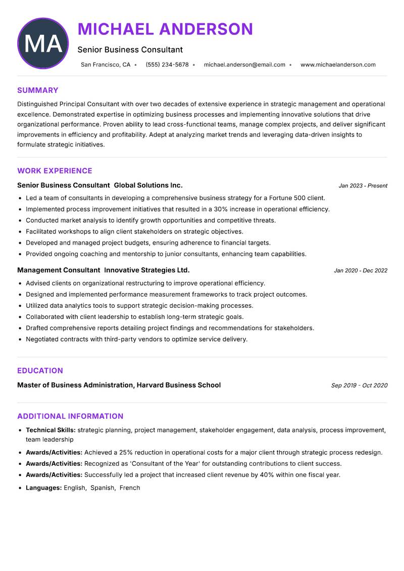 Principal Consultant Resume Preview Example
