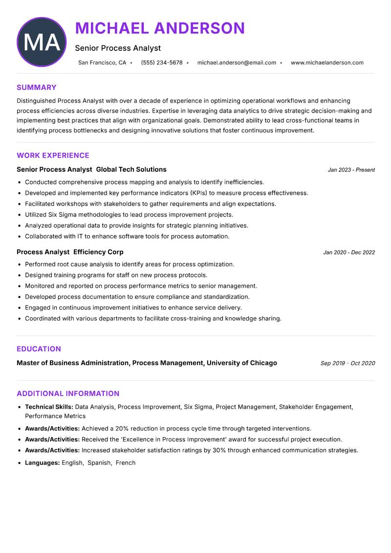 Process Analyst Resume Preview Example