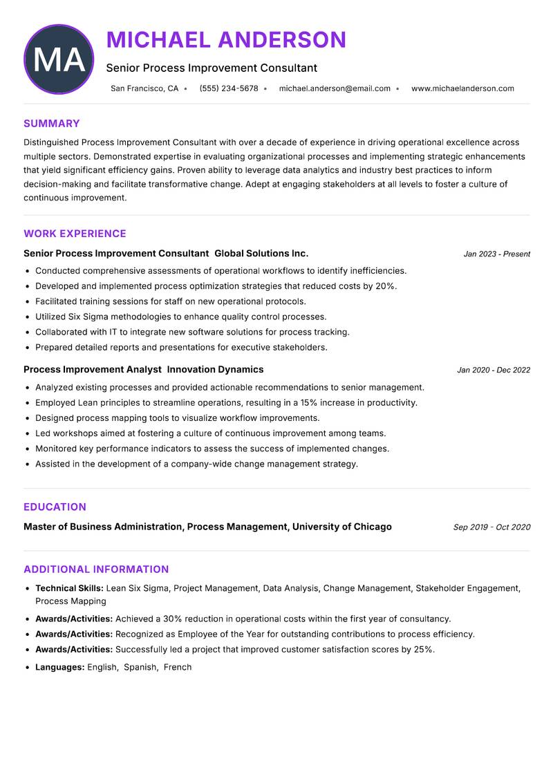 Process Improvement Consultant Resume Preview Example