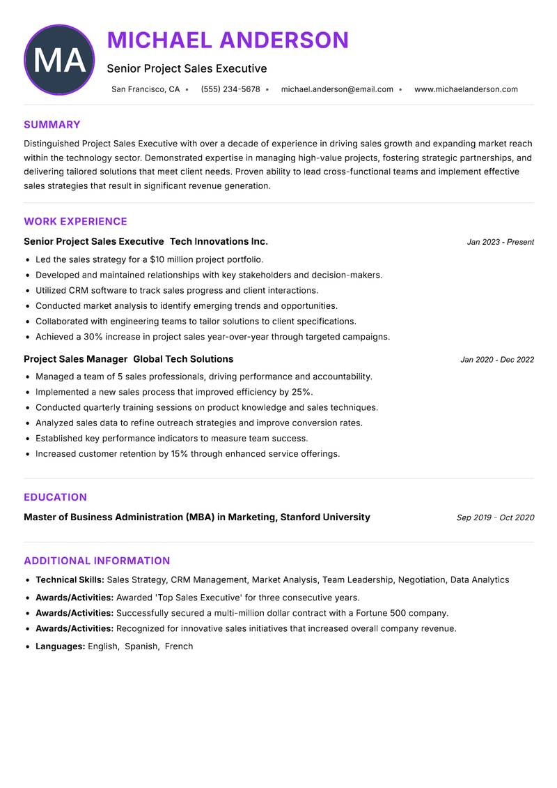 Project Sales Executive Resume Preview Example
