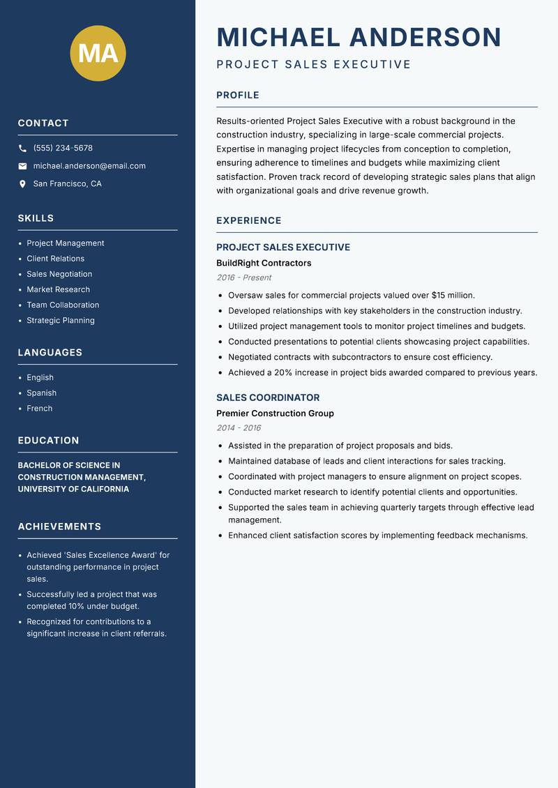 Project Sales Executive Resume Preview Example
