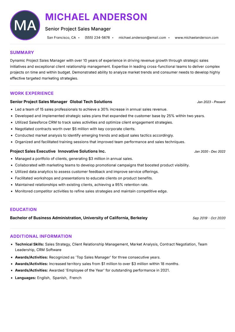 Project Sales Manager Resume Preview Example