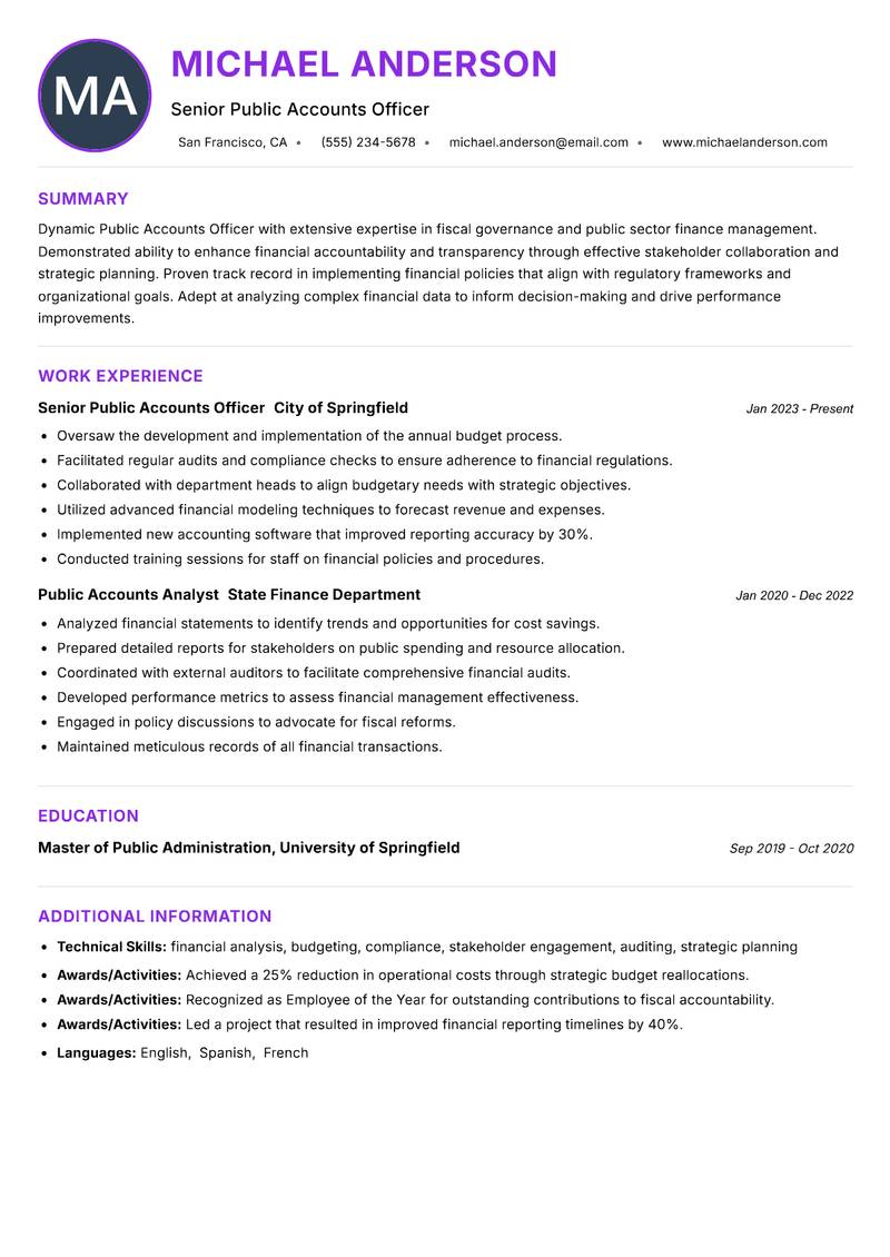 Public Accounts Officer Resume Preview Example