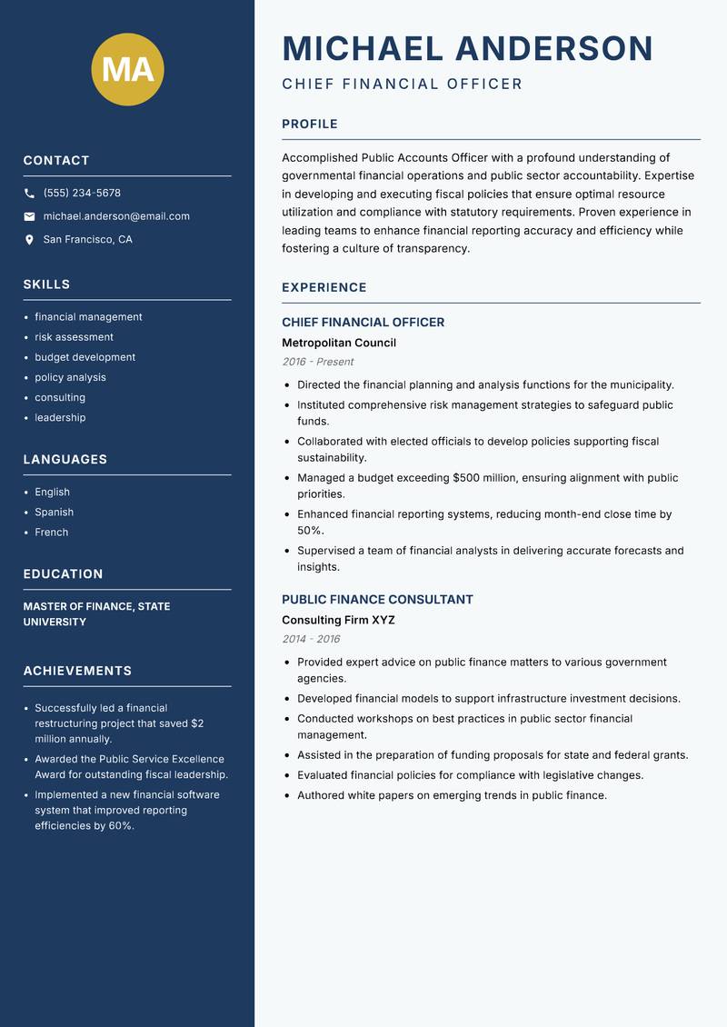 Public Accounts Officer Resume Preview Example