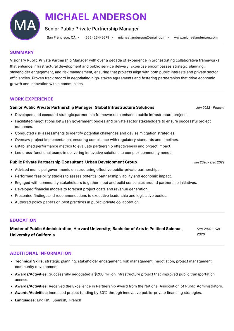 Public Private Partnership Manager Resume Preview Example