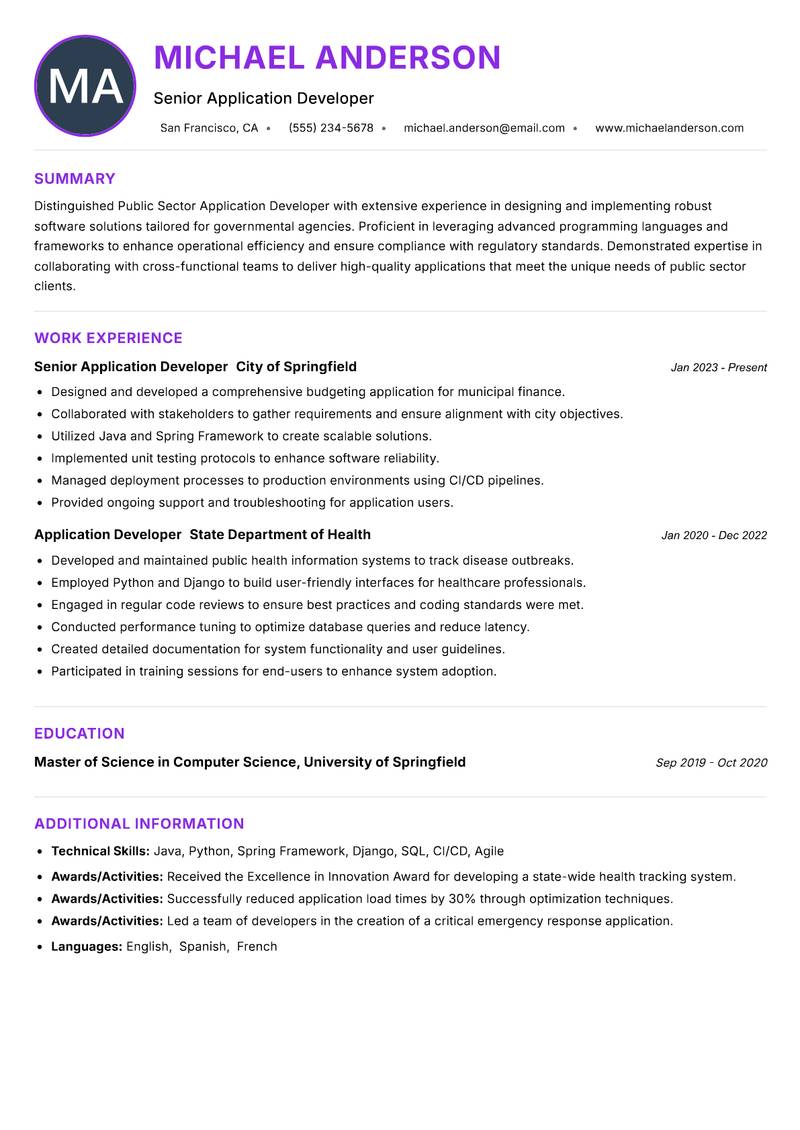 Public Sector Application Developer Resume Preview Example