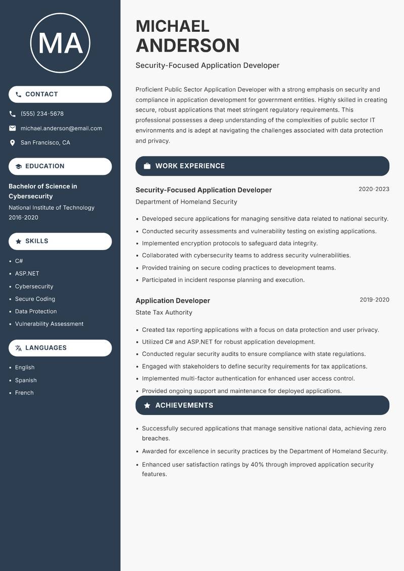 Public Sector Application Developer Resume Preview Example