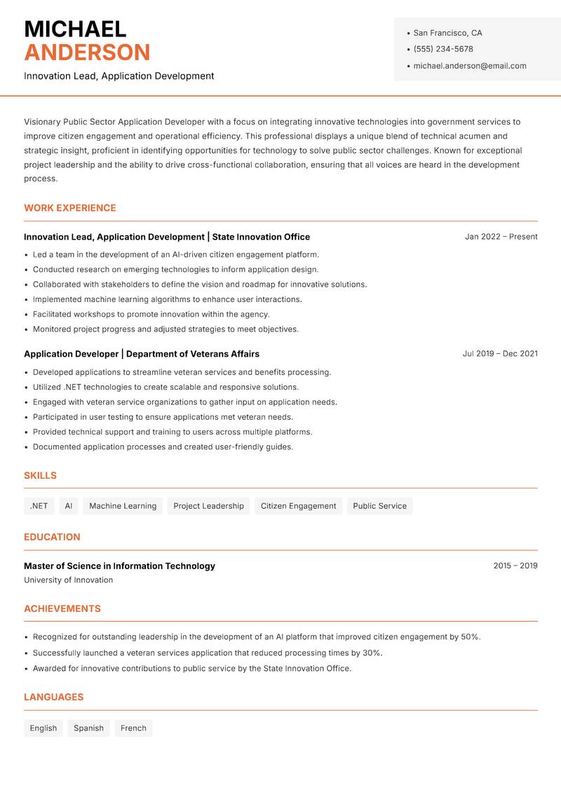 Public Sector Application Developer Resume Template