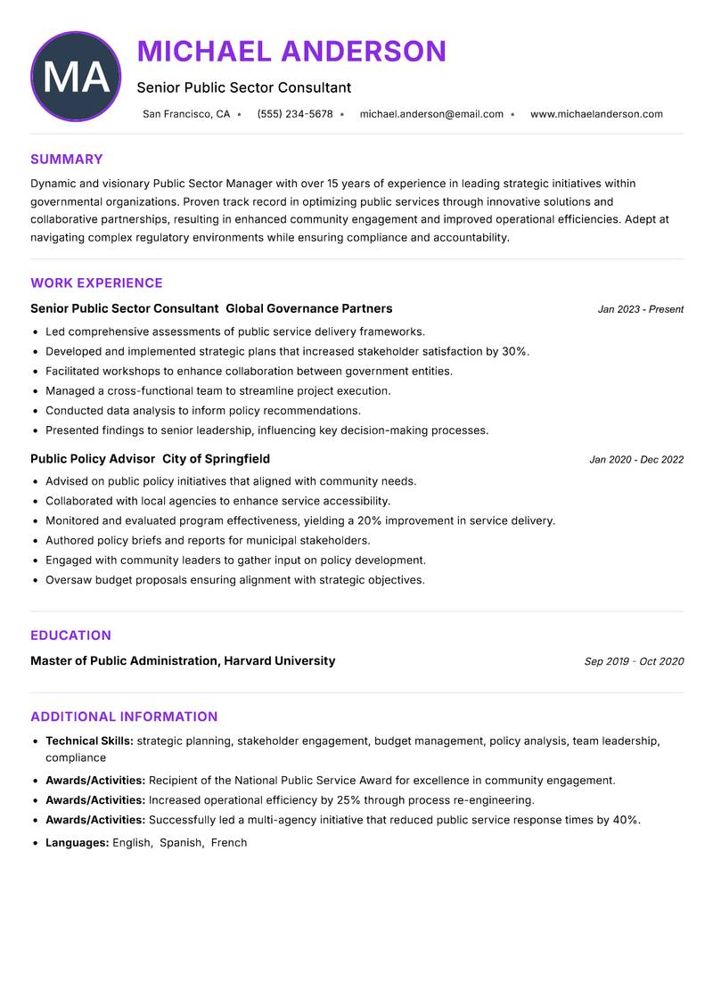 Public Sector Manager Resume Preview Example